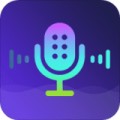 实时变声器王app
