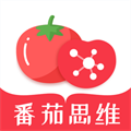 番茄思维数学app手机版