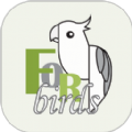 致鸟forbirds app安卓版