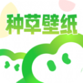 种草壁纸app免费版