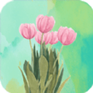 壁纸最美app安卓版