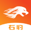 右豹app短视频制作