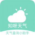 知呀天气app手机版